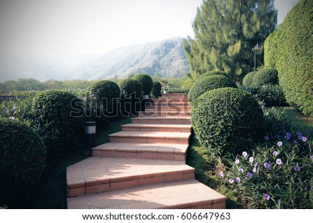 Stairs and steps, Growth