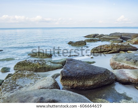Shell fossil on the beach at Sihanoukville, Cambodia.