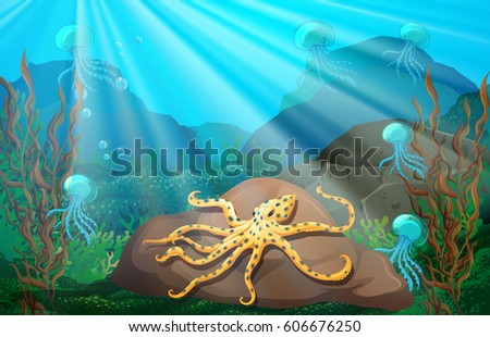 Underwater scene with squid on rock illustration