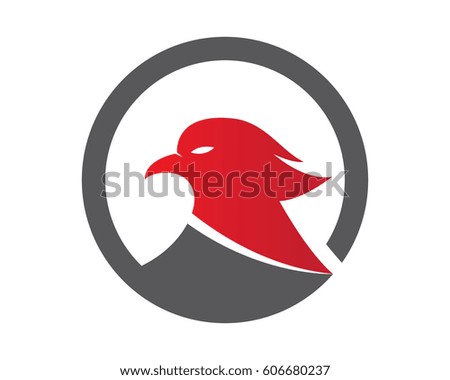 
Falcon Logo Template