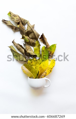 Stylish white cup with a composition of tropical leaves, on a white background. Top view