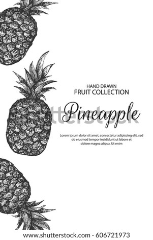Decorative background with pineapple.  Can be label and banner for natural or organic fruit product and health care goods. 