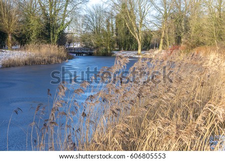 A nice view of bridge and a frozen pond - Assen, Netherlands, 2017