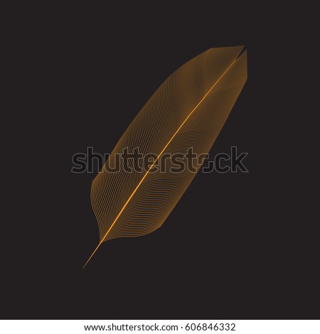 Gold feather. Dark background.