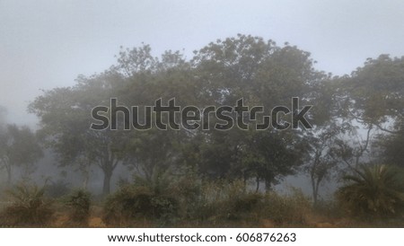 Stock photo of misty field and forest low visibility silhouette due to heavy fog on a winter morning in India