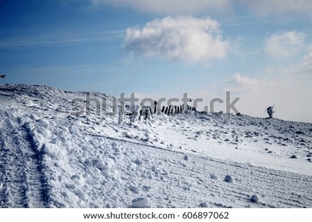 Crow on wooden pole on top of snowy mountain