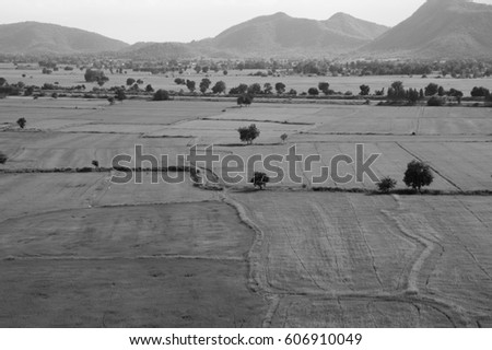 the rice field with vague mountain behind as black and white picture