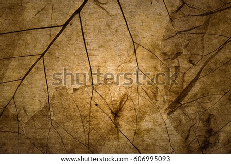 Dry brown autumn leaf texture background in vintage tone with vignetting.