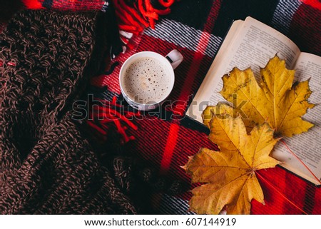 Autumn concept. book and autumn leaves on red plaid Royalty-Free Stock Photo #607144919