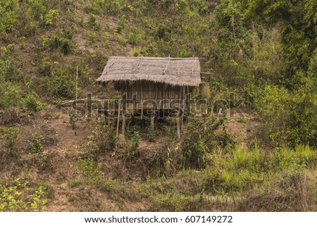 Green Terraced Field and hut in northern, Thailand