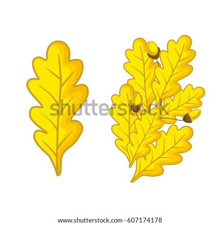 Golden leaves of oak