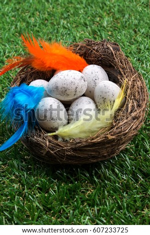 Plastic Easter Eggs ans Feathers on Green Grass