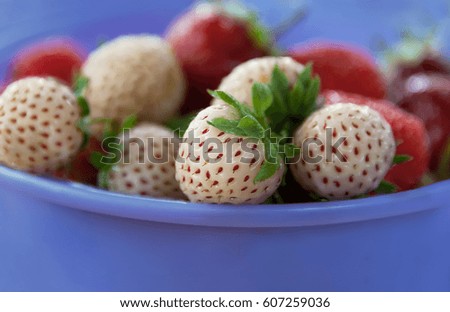 ripe varietal white strawberry with red seeds lies in the purple Cup