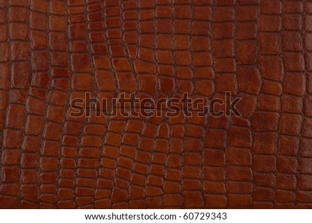 Studio shot of the brown leather texture
