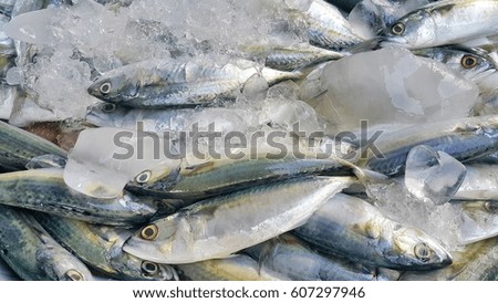Fresh mackerel fish in the market,Bangkok.Fish on ice exposition sea market,background, wallpaper