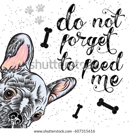 Vector of pet shop flyer. French Bulldog Dog portrait on white background with text template. Use for pet clinic, store, food market, veterinary pharmacy, advertising, sale, discount.