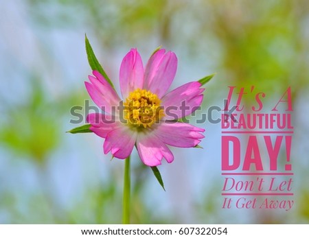 Pink flower/photo with caption