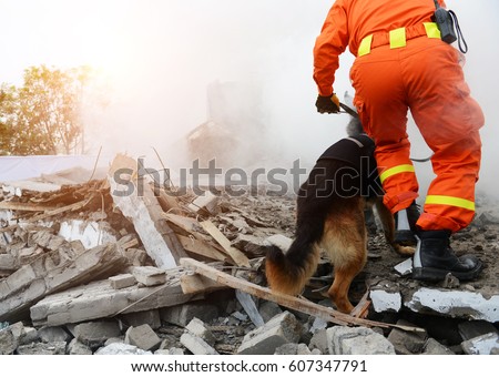 Search and rescue forces search through a destroyed building with the help of rescue dogs. Royalty-Free Stock Photo #607347791