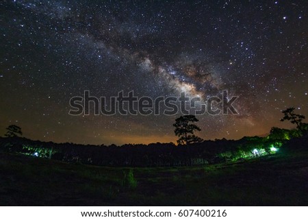 Milky Way and silhouette of tree at Phu Hin Rong Kla National Park,Phitsanulok Thailand.