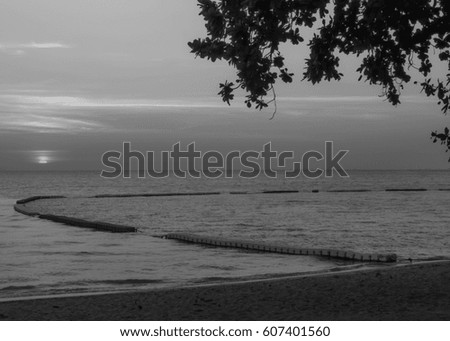 twilight sunset beach nature sea water  black and white picture