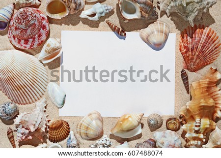 Frame with blank space made of colorful beautiful natural seashells on sand background on sea side shore