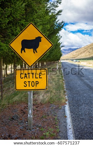 New Zealand Road Sign, Attention Sheep Crossing Road

