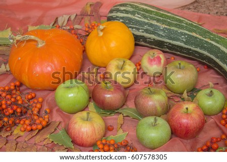 Autumn still life with pumpkins, apples and rowan