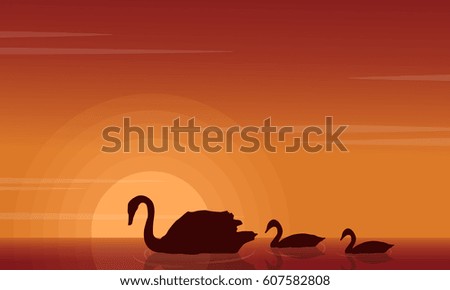 Beauty landscape of swan on lake silhouettes