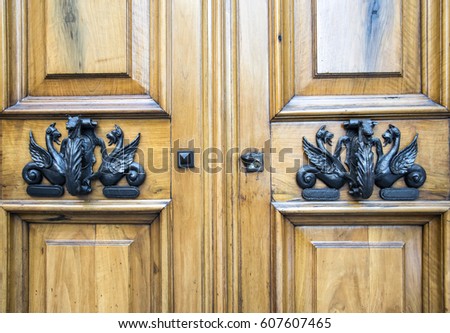 Details of an ancient Italian door, with wonderful dragon decoration.