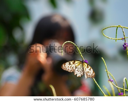 Female photographer taking a photo of a butterfly