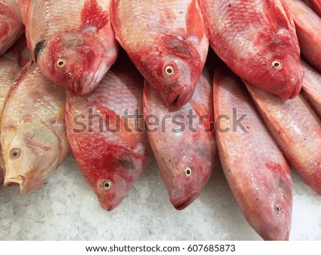 Fish on the market at north of Thailand.