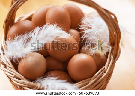 Closeup of a basket with organic chicken eggs and feathers. Defokus in the background. Eggs for easter.