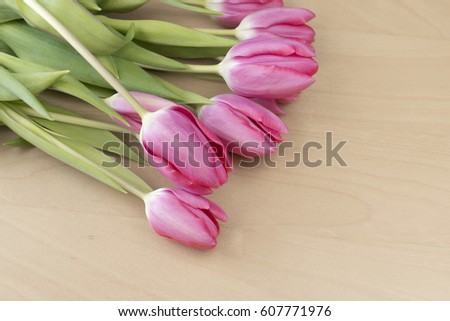 Easter tulips
