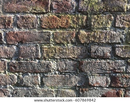 A beautiful texture bricks wall house by the walkway.