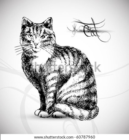 Cat art drawing high quality vector