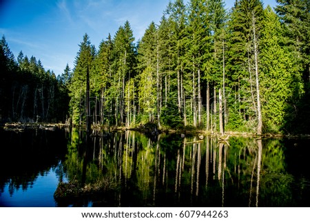 Redmond Watershed: A pond in the Redmond watershed. Royalty-Free Stock Photo #607944263