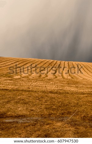 Storm cloud over the stubble field