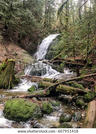 Coal Creek Falls: Coal Creek Falls in the Cougar Mountain Regional Wildland Park. Royalty-Free Stock Photo #607951418