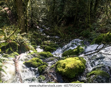 Far Country Falls: Standing atop the Far Country Falls in the Cougar Mountain Regional Wildland Park Royalty-Free Stock Photo #607951421