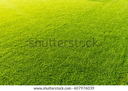 Artificial turf with sunshine Royalty-Free Stock Photo #607976039
