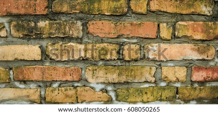 old brick covered with mold.old brick wall