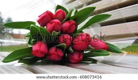 macro photo background with a natural shade of pink color of the petals of tulips and the young green leaves for use in backgrounds and textures, as source for design, printing, decorating