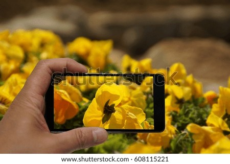 take picture flower with smart phone