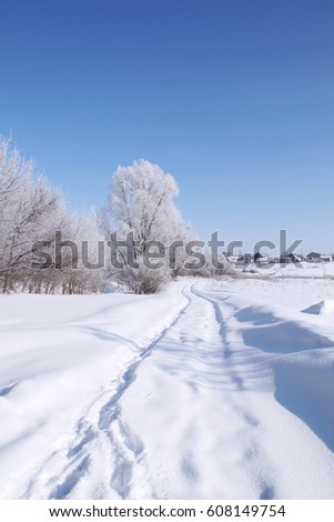Winter landscape. Frost on the trees, blue sky, sunny day. 