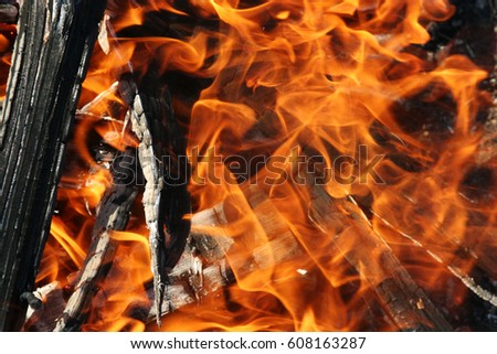 Strongly burning firewood