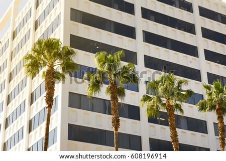 Palm trees in los angeles on a building background in sunlight