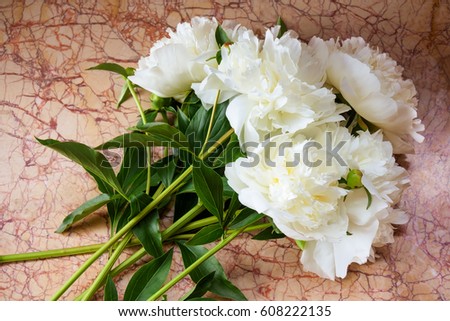 Beautiful white peonies on marble background