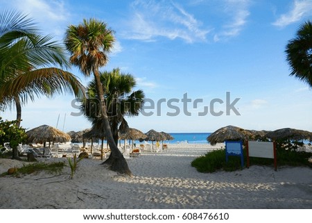 beach in the Caribbean
