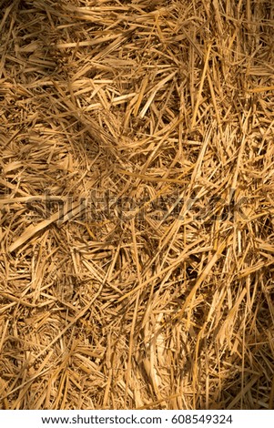 Dry yellow hay, closeup texture Background