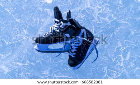 skates on the ice